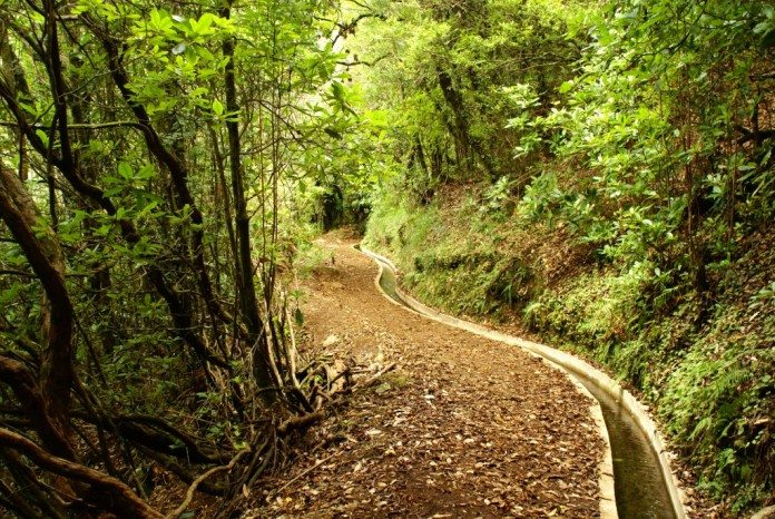 Levada Wanderung 