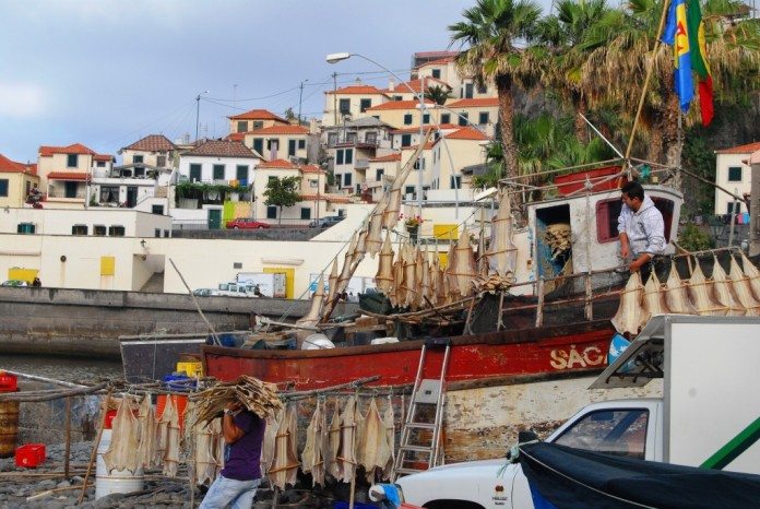 Fischerboot im Hafen von Câmera de Lobos