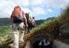 Levadas: Künstliche Wasserkanäle auf Madeira Levadawanderung
