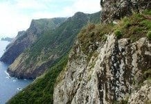 Klettern auf Madeira Nordküste
