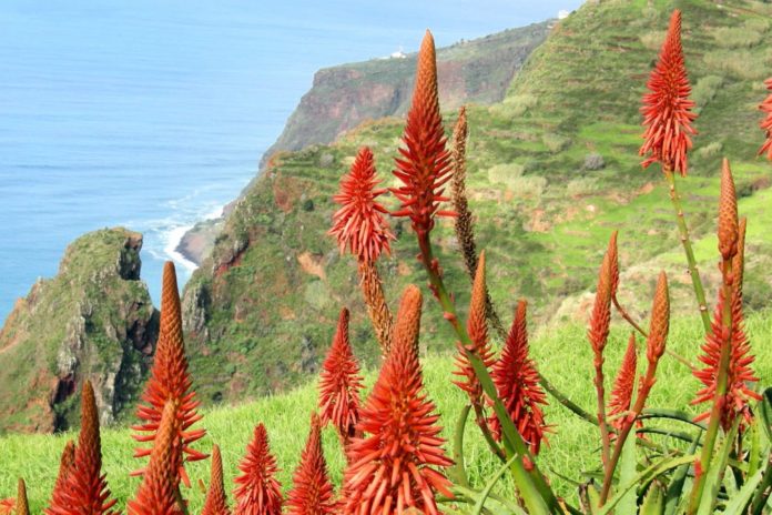 Wandern Fur Familien Auf Madeira Madeira Reisetipps