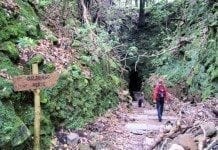 Levada Wanderung zum grünen Kessel „Caldeirão Verde“ Caldeira Verde