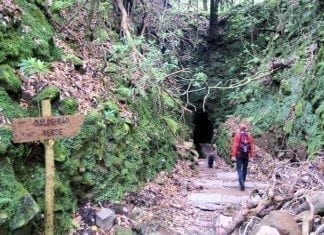 Levada Wanderung zum grünen Kessel „Caldeirão Verde“ Caldeira Verde