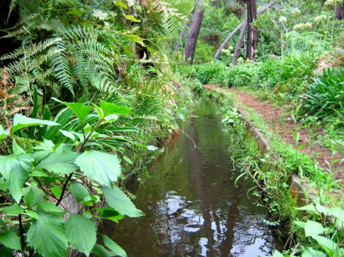 Levada Prazeres-Calheta