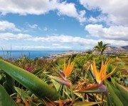 Botanischer Garten Funchal 