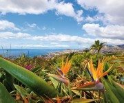 Botanischer Garten Funchal Botanischer Garten Funchal