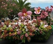 Blumenkorso Blumenkorso