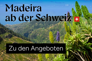 Madeira Urlaub Angebote