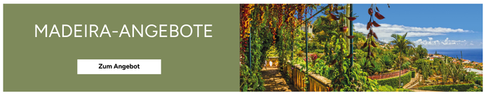 Banner Madeira Angebote